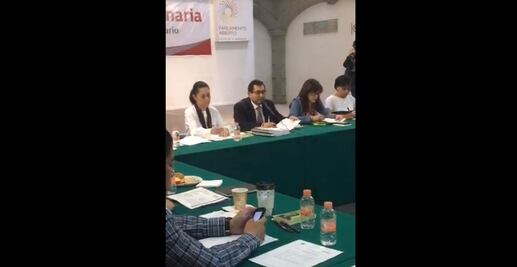 Morena vigilará presupuestos para delegaciones en CDMX, afirma Cravioto