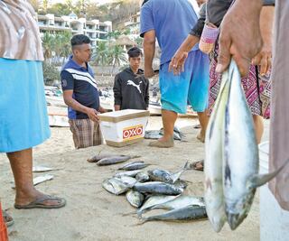 Puerto Ángel pierde turismo y la pesca
