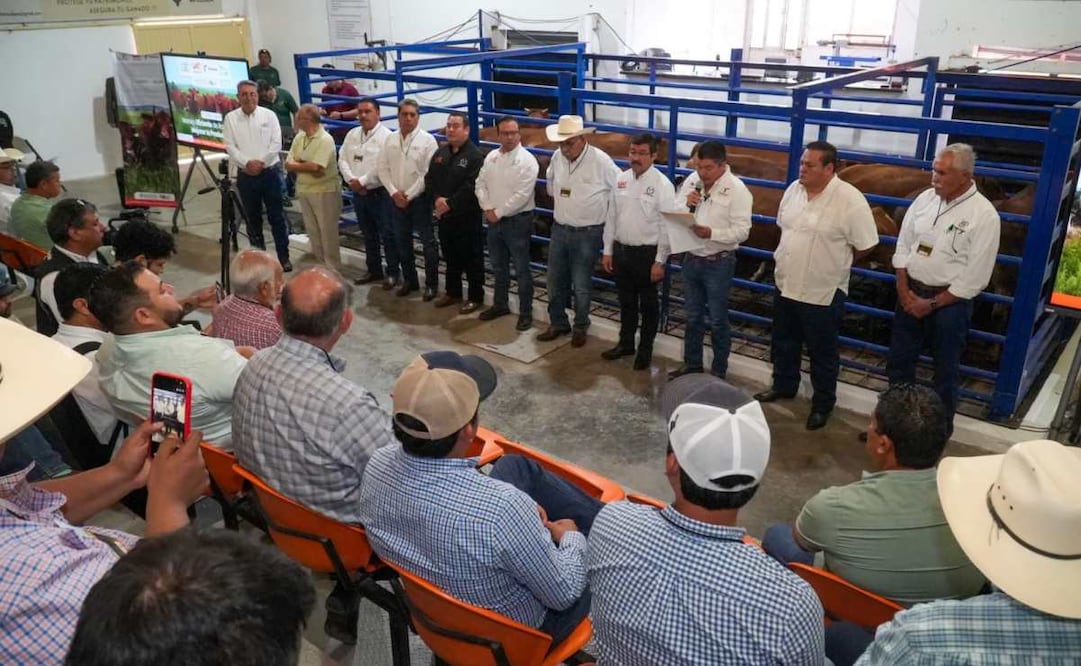 La Universidad Autónoma de Tamaulipas capacita a ganaderos / Foto: Especial