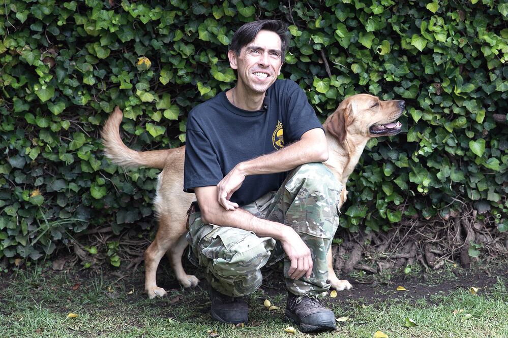 De perros de la calle a héroes