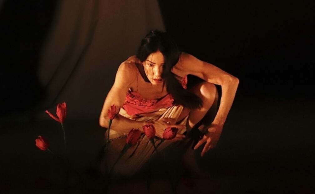 Cervantino: Lola Lince dedica pieza coreográfica a quienes “murieron en soledad, sin un beso, sin una mano amiga”