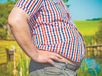 Bacterias en la flora intestinal protegen contra la obesidad