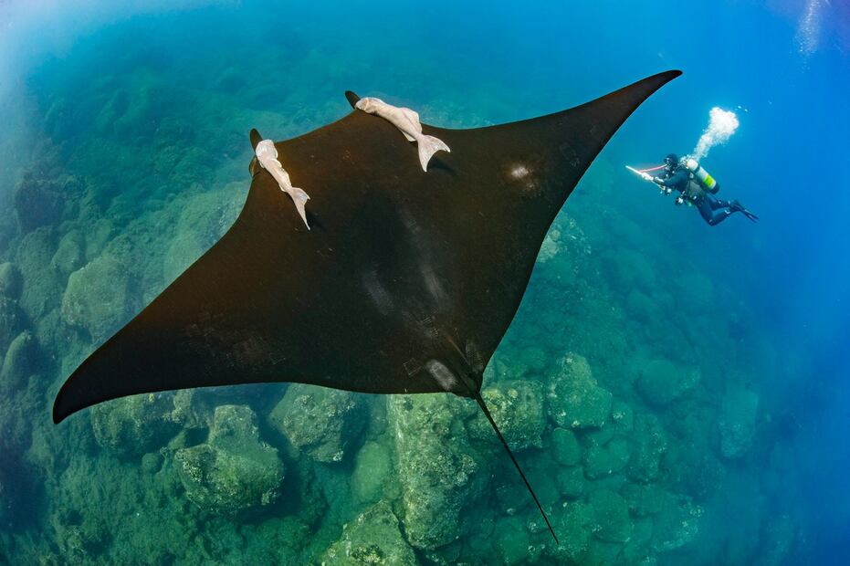 “Las reservas cero extractivas son para beneficio de todos”: Dr. Octavio Aburto