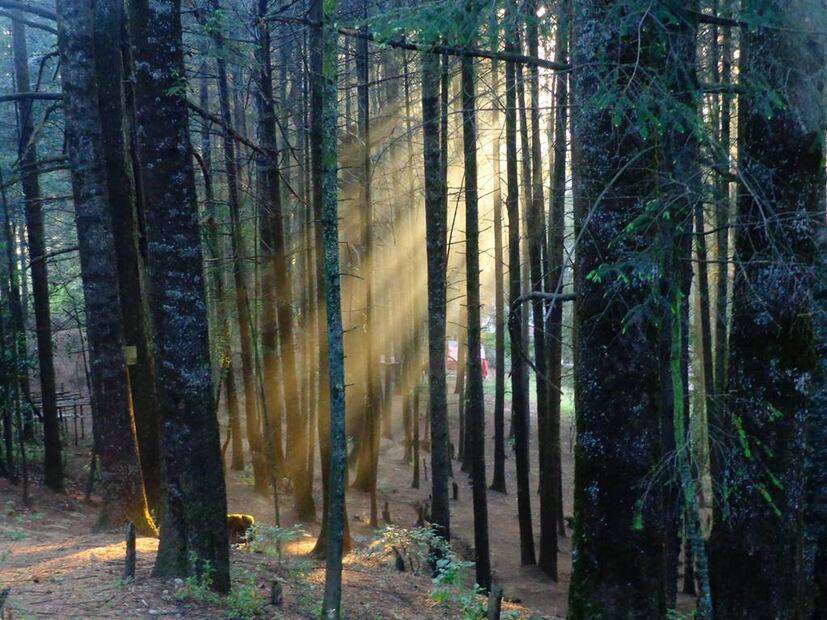 Foto: Peña de Lobos