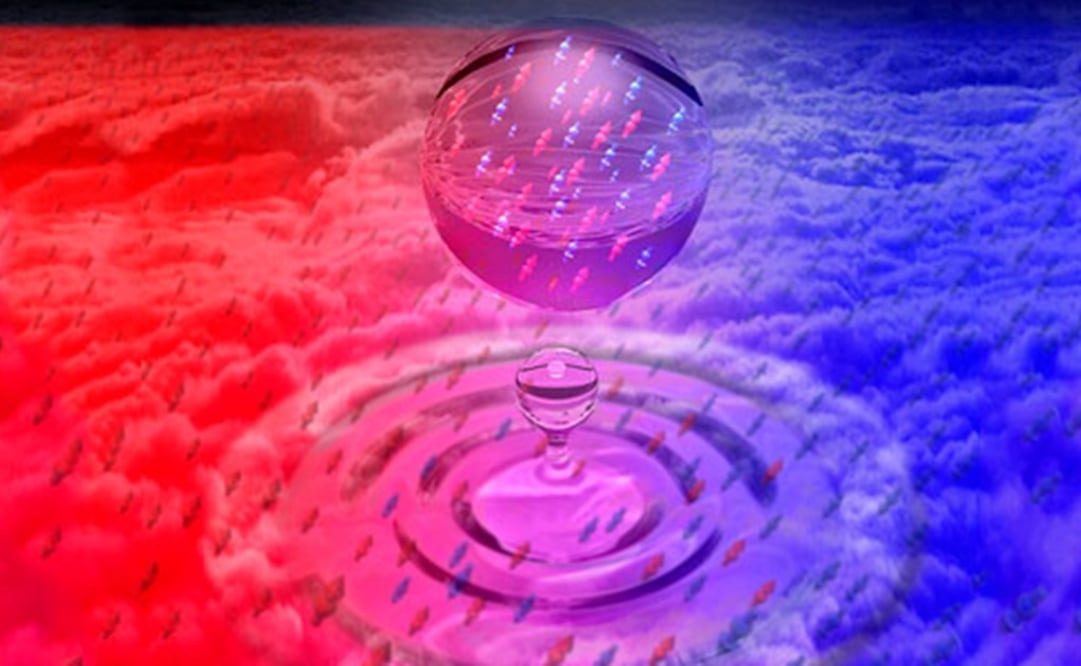 Imagen ilustrativa (Conacyt)