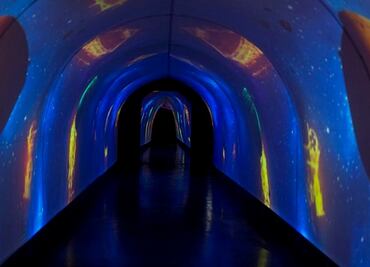 The Universe of Leonardo Da Vinci: the technological breakthroughs of the Italian genius take over Mexico City