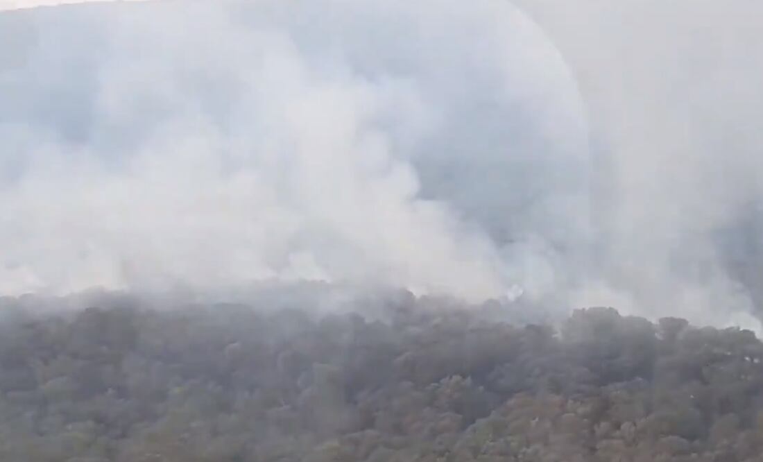 Foto: captura de pantalla