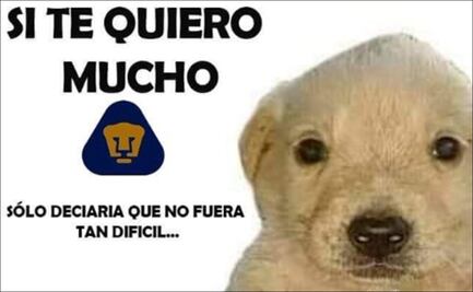 Pumas se lleva LOS MEJORES MEMES tras perder contra Tigres y aún así clasificar al Play-In 