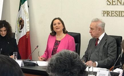 Martha Bárcena va por combatir propaganda racista y antimexicana