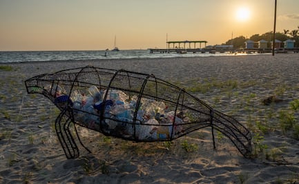 Con el plástico hasta el cuello: ¿Qué hacer?