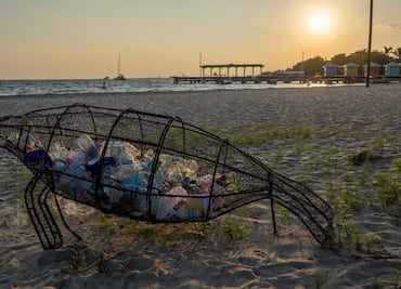 Con el plástico hasta el cuello: ¿Qué hacer?