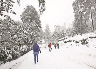 Padece Nevado de Toluca problemas de basura por afluencia de visitantes