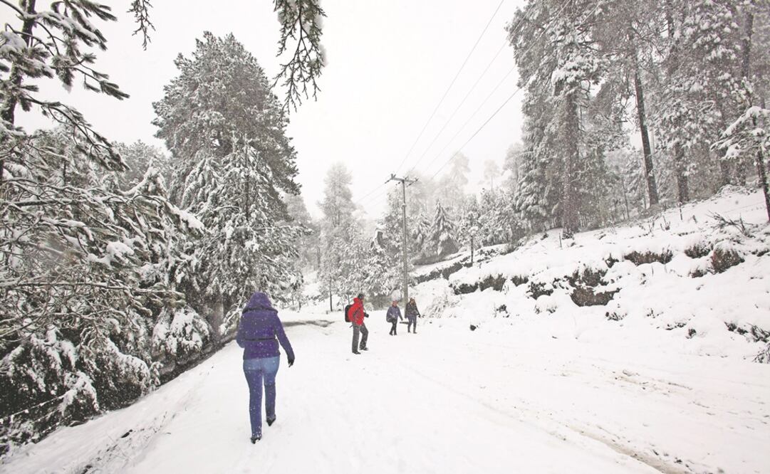 Foto: Jorge Alvarado