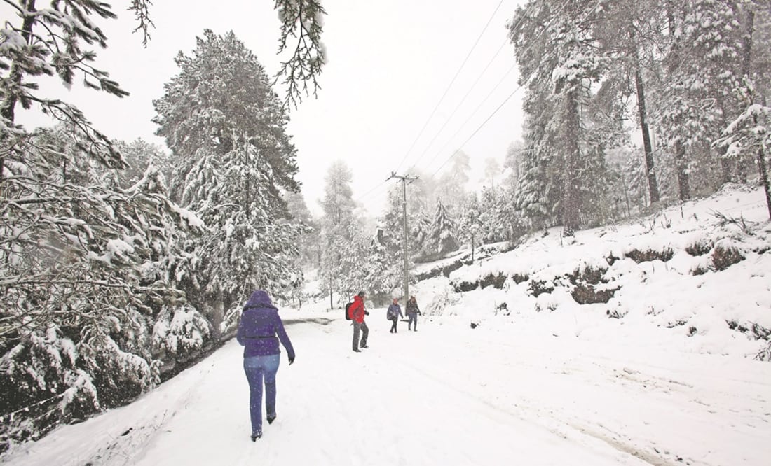 Foto: Jorge Alvarado