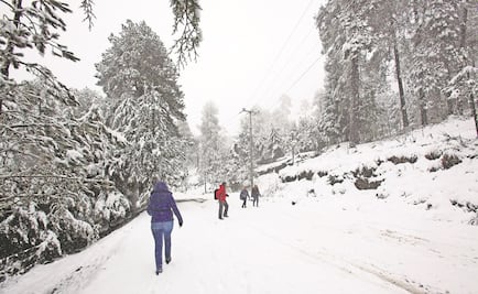 Padece Nevado de Toluca problemas de basura por afluencia de visitantes