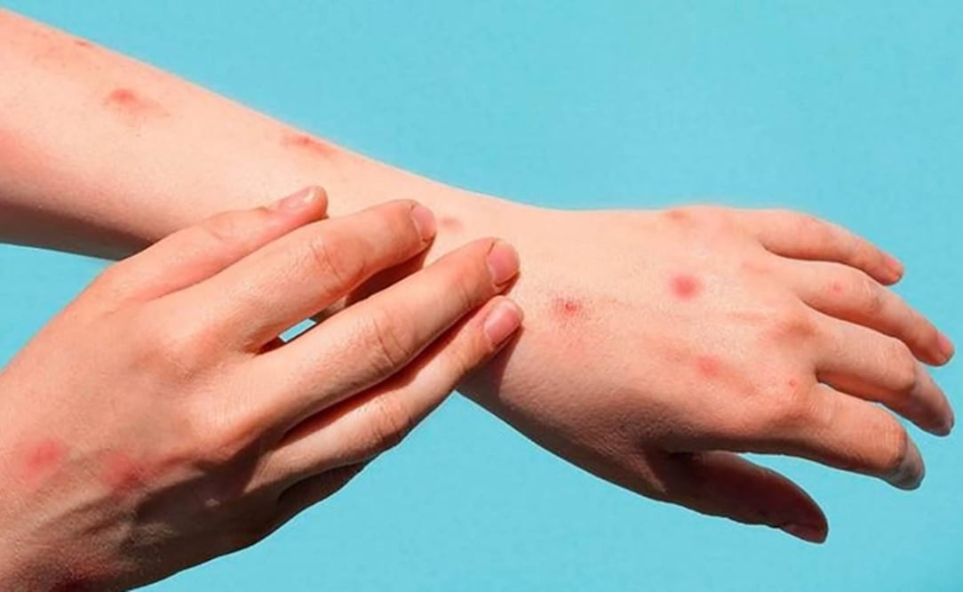 Foto: Archivo/ EL UNIVERSAL