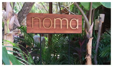 Noma: la cena de la que todos hablan