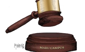 Todo el peso de la ley