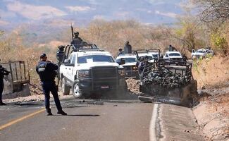 Revelan numerosos daños por quemas en Aguililla