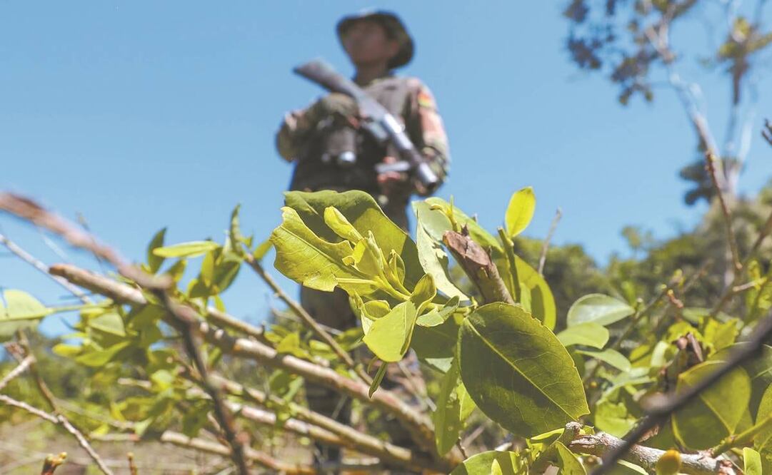 Elementos de la Fuerza de Tarea Conjunta realizan la erradicación de cultivos de la hoja de coca, en 2018, en Cochabamba, Bolivia. Foto: Archivo EFE.