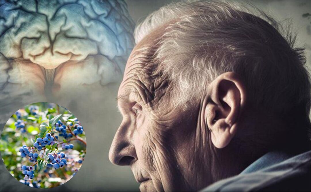 La alimentación desempeña un papel crucial en el mantenimiento de la salud cognitiva. Foto: El Universal