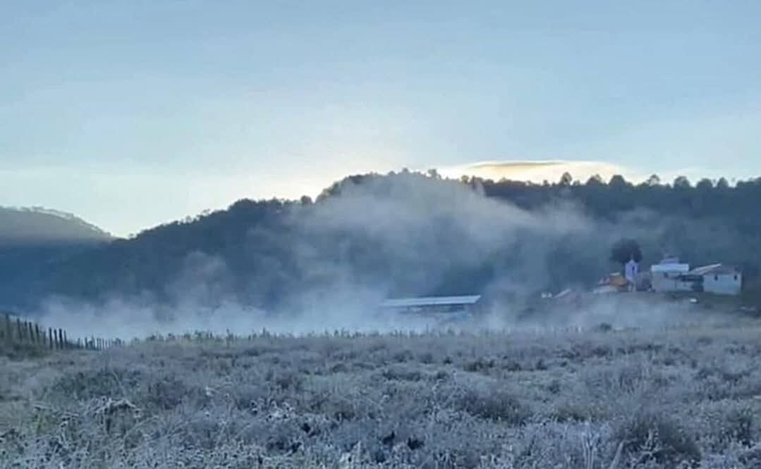 Foto: Ricardo Bautista / Especial