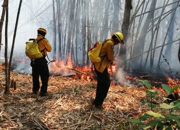 Incendios han dañado 700 hectáreas forestales en Nuevo León