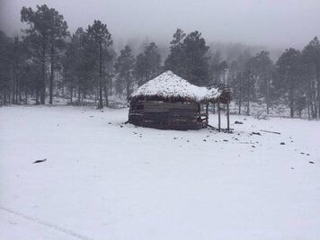 Se registran nevadas en 3 municipios de Tamaulipas