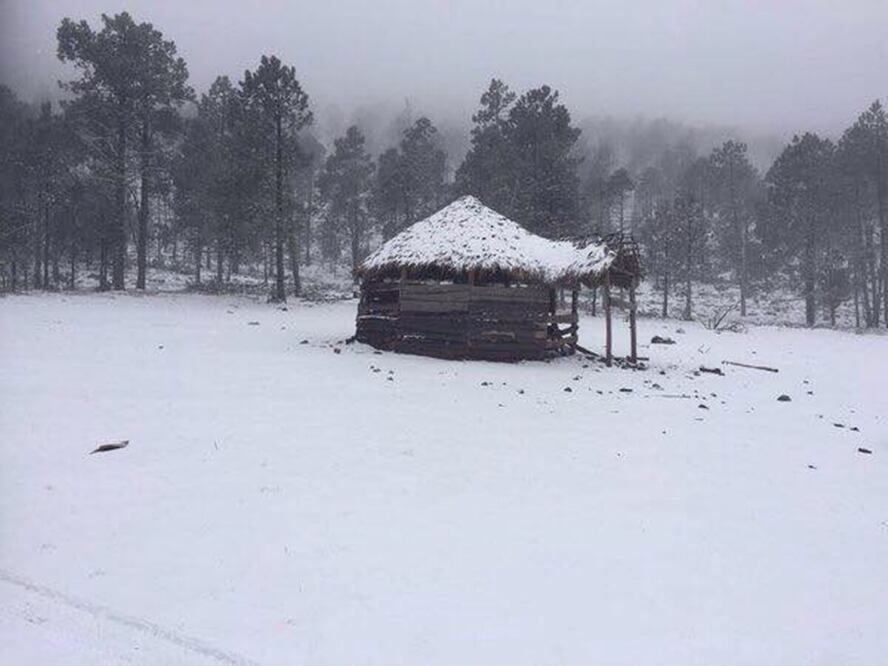 Las nevadas se registraron en los municipios de Hidalgo, Güémez y Miquihuana (Foto: Cortesía Protección Civil)