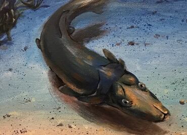 Reconstruyen a partir de fósil el prehistórico "pez-ornitorrinco" australiano