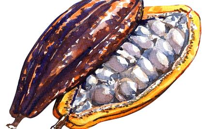 Libros de chocolate que necesitas en tu vida