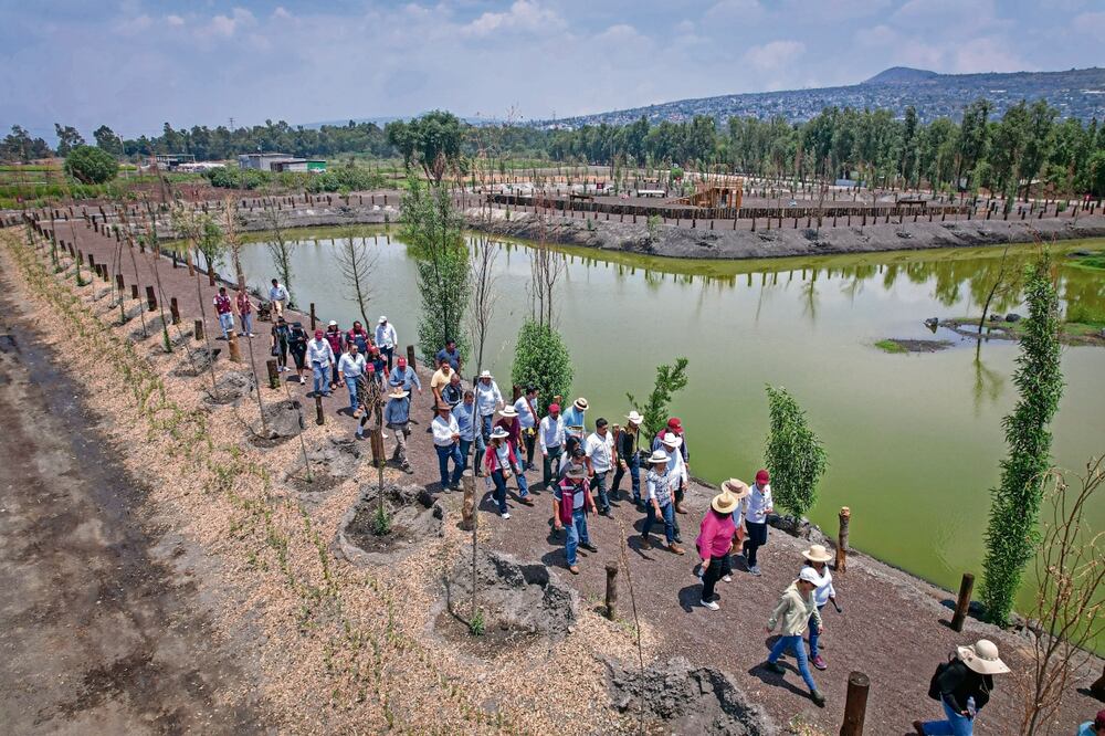En el vivero también se producen mil 500 plantas acuáticas de 13 especies. Foto: Especial