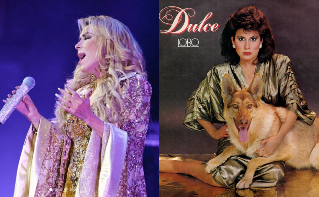 Estos fueron algunos éxitos que llevaron al estrellato a la cantante Dulce. Foto: Redes sociales