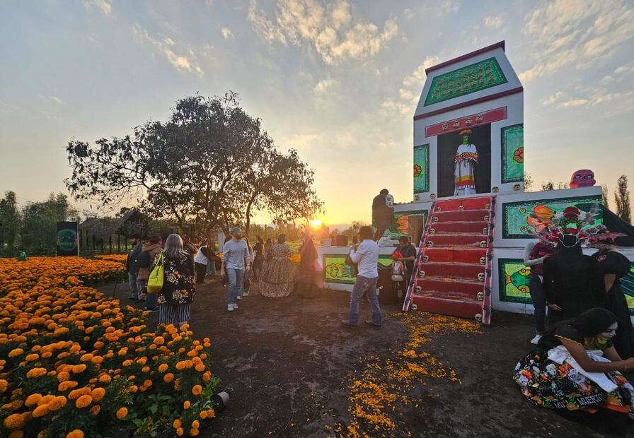 El Día de Muertos se vivirá de una manera única en la Ruta del Cempasúchil 2025. Foto: Boletópolis