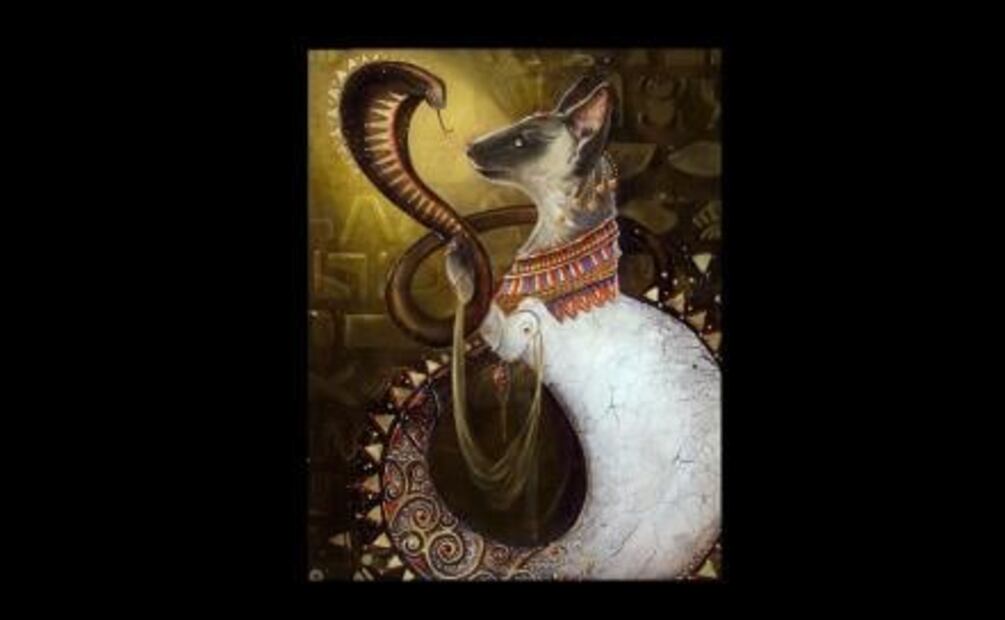 Pintora recrea con gatos y perros a grandes personajes históricos