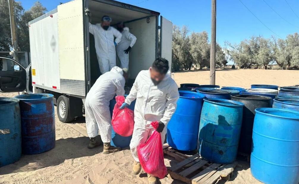 Aseguran drogas en Sinaloa (08/09/2025). Foto: Especial