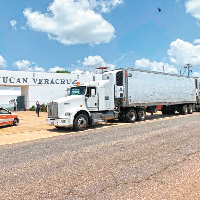 Los vehículos fueron detenidos en el kilómetro 167 de la autopista Acayucan-Isla, en Veracruz, y los cuatro operadores se encuentran bajo custodia. CORTESÍA
