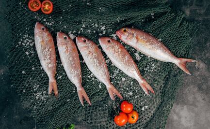 Primer encuentro acuicultor en CDMX realizado con éxito