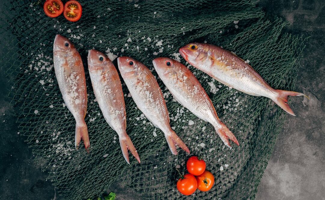 Foto: Harris Vo / Unsplash 