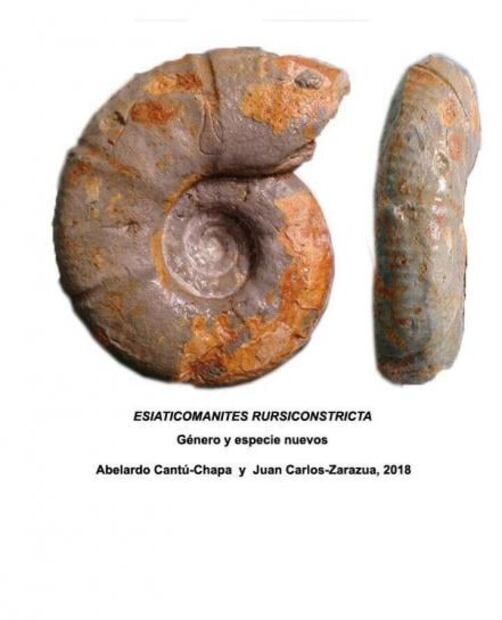 Descubre IPN fósil único en el mundo 