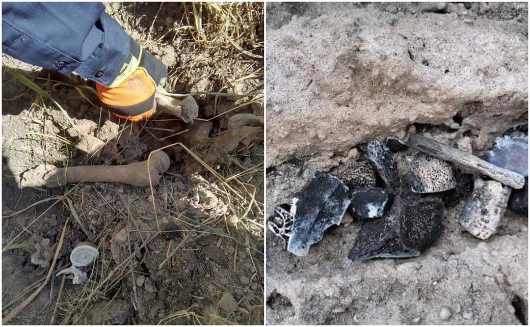 Colectivos de madres buscadoras encuentran dos campos de exterminio con restos humanos en Rio Bravo y Matamoros, Tamaulipas. Foto: Especial