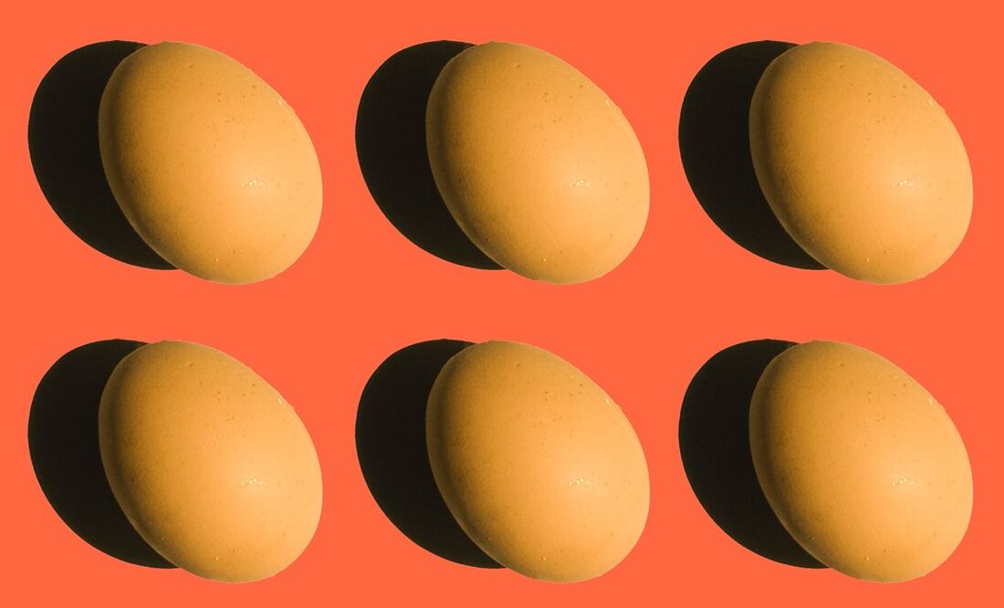 Foto: Amr Serag / Unsplash