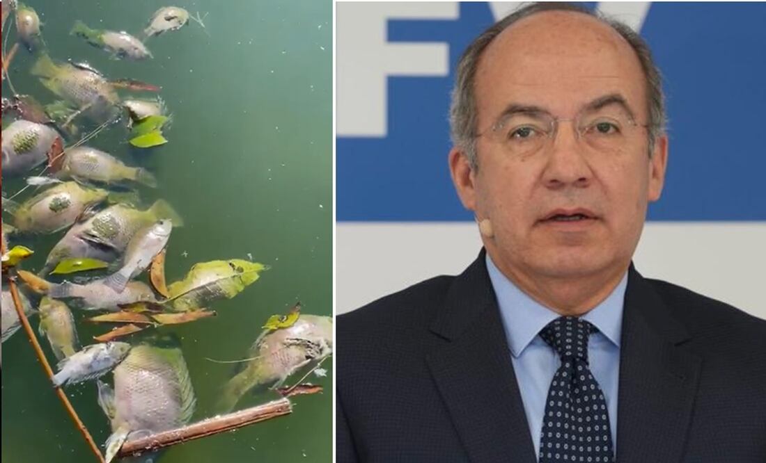 FOTO: Archivo y tomada de Twitter @FelipeCalderon /EL UNIVERSAL/