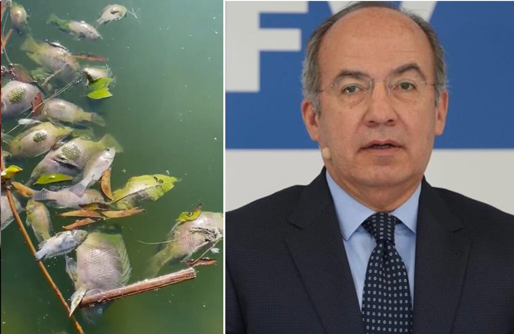 FOTO: Archivo y tomada de Twitter @FelipeCalderon /EL UNIVERSAL/