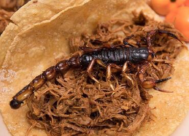 Lánzate por un taco de insectos a este festival