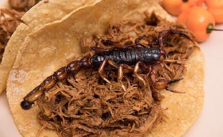 Lánzate por un taco de insectos a este festival