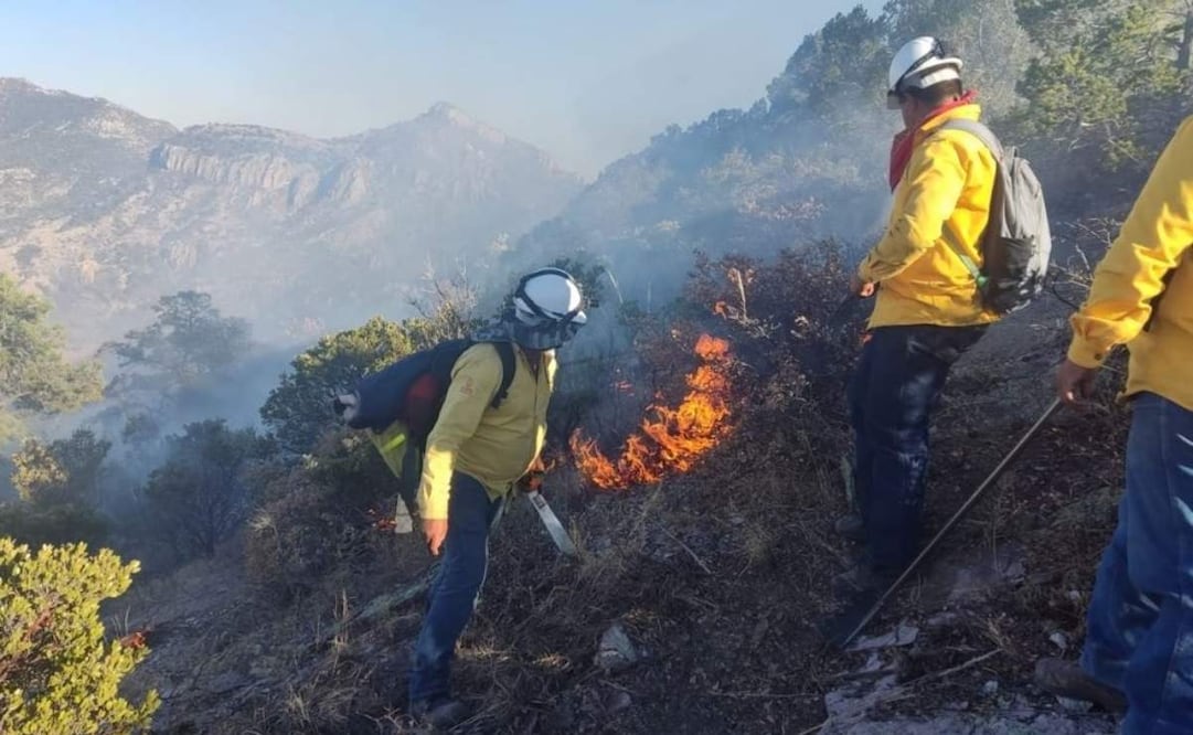 Suman 22 incendios forestales en Chihuahua en lo que va del año; el 90% han sido provocados (03/03/2026). Foto: Especial