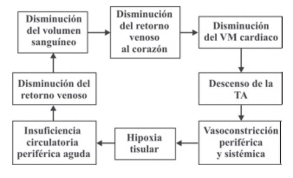 Magda Rodríguez. ¿Qué es un shock hipovolémico y qué lo puede causar?