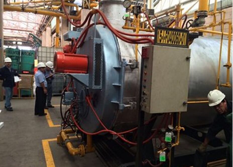 Foto: Tomada de @PROFEPA_Mx