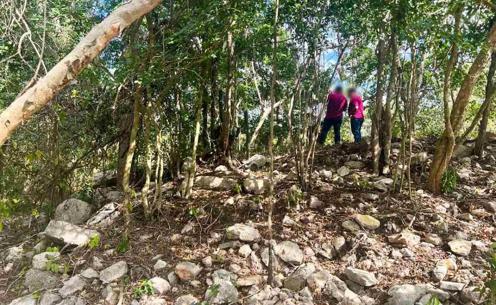 Usan suelos del Área Natural Protegida de Dzibilchaltún sin permiso (06/01/2026). Foto: Especial